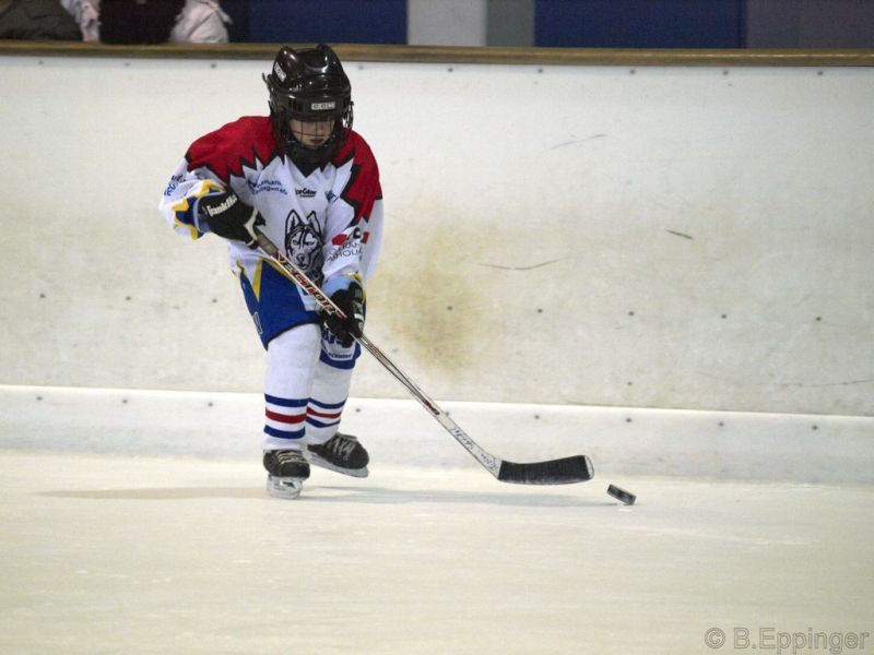 Normal BNL 2008 11 22 08 35 51