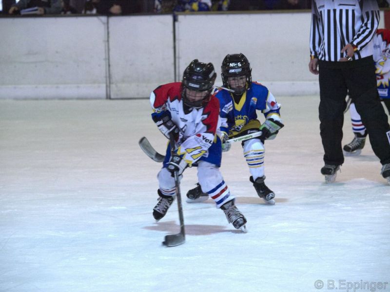 Normal BNL 2008 11 22 08 47 33