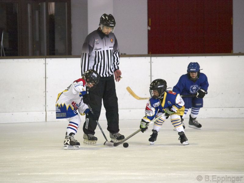 Normal BNL 2008 11 22 09 07 38