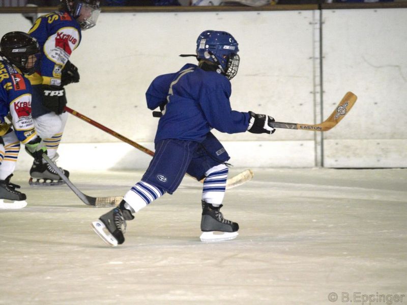 Normal BNL 2008 11 22 09 08 40 03