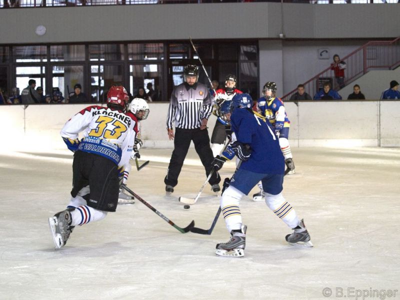 Normal BNL 2008 11 22 09 10 53