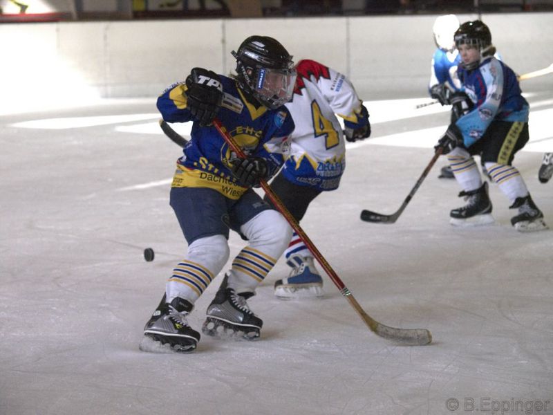 Normal BNL 2008 11 22 09 47 35