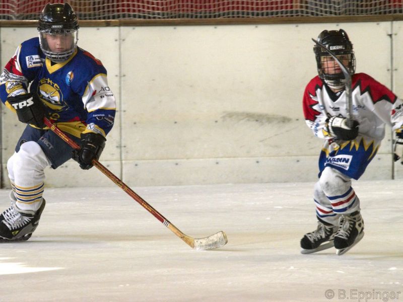 Normal BNL 2008 11 22 09 54 49