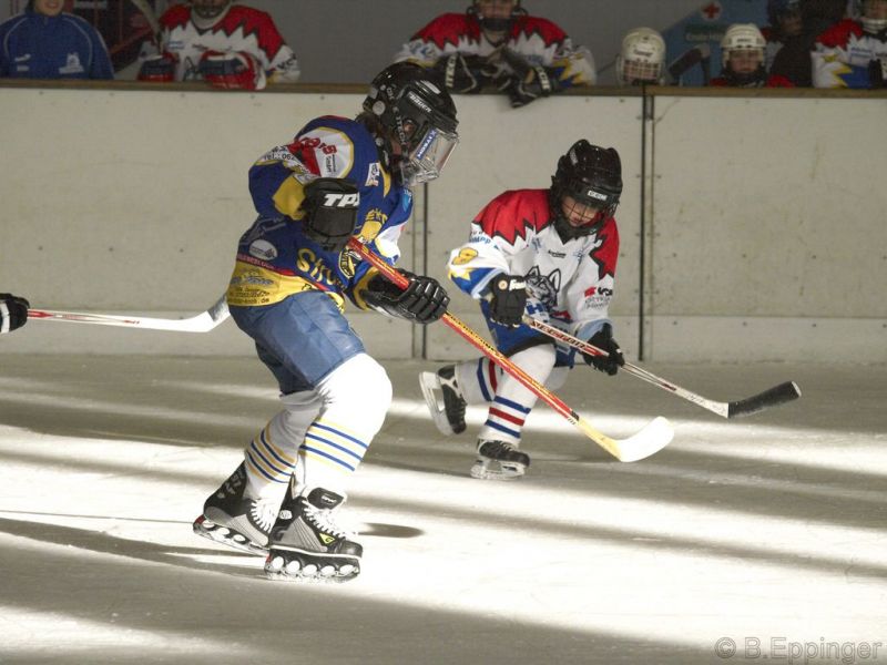 Normal BNL 2008 11 22 09 55 07