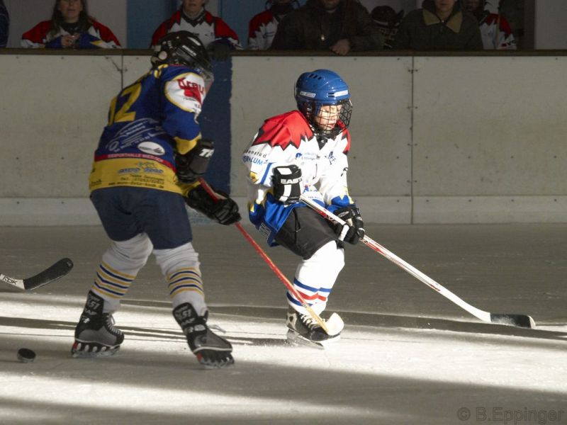 Normal BNL 2008 11 22 09 55 09