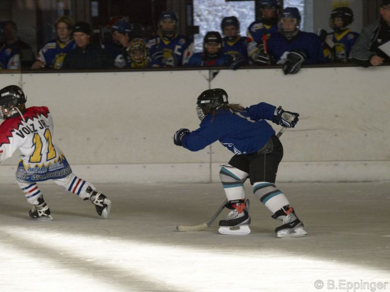 Normal BNL 2008 11 22 09 55 25