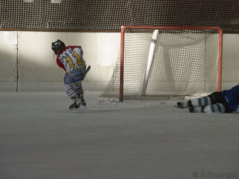 Normal BNL 2008 11 22 09 55 30