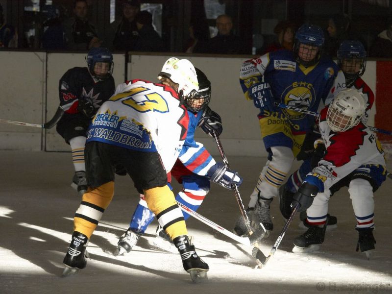 Normal BNL 2008 11 22 10 06 23