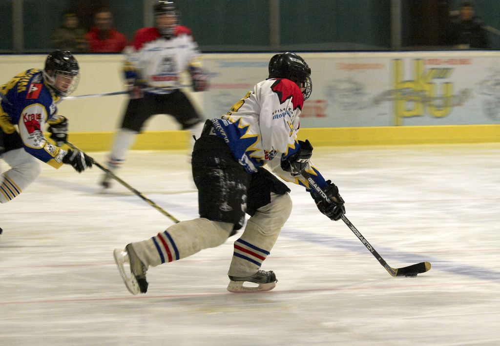 Waldbronn2 2009 01 19 18 07 05