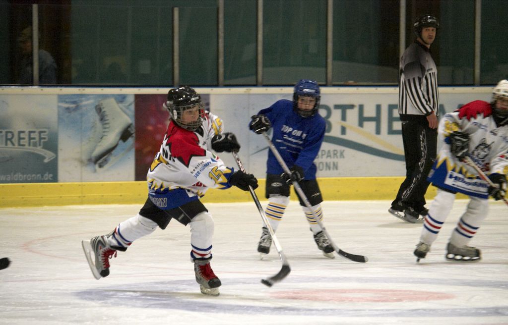 Waldbronn2 2009 01 19 18 09 14