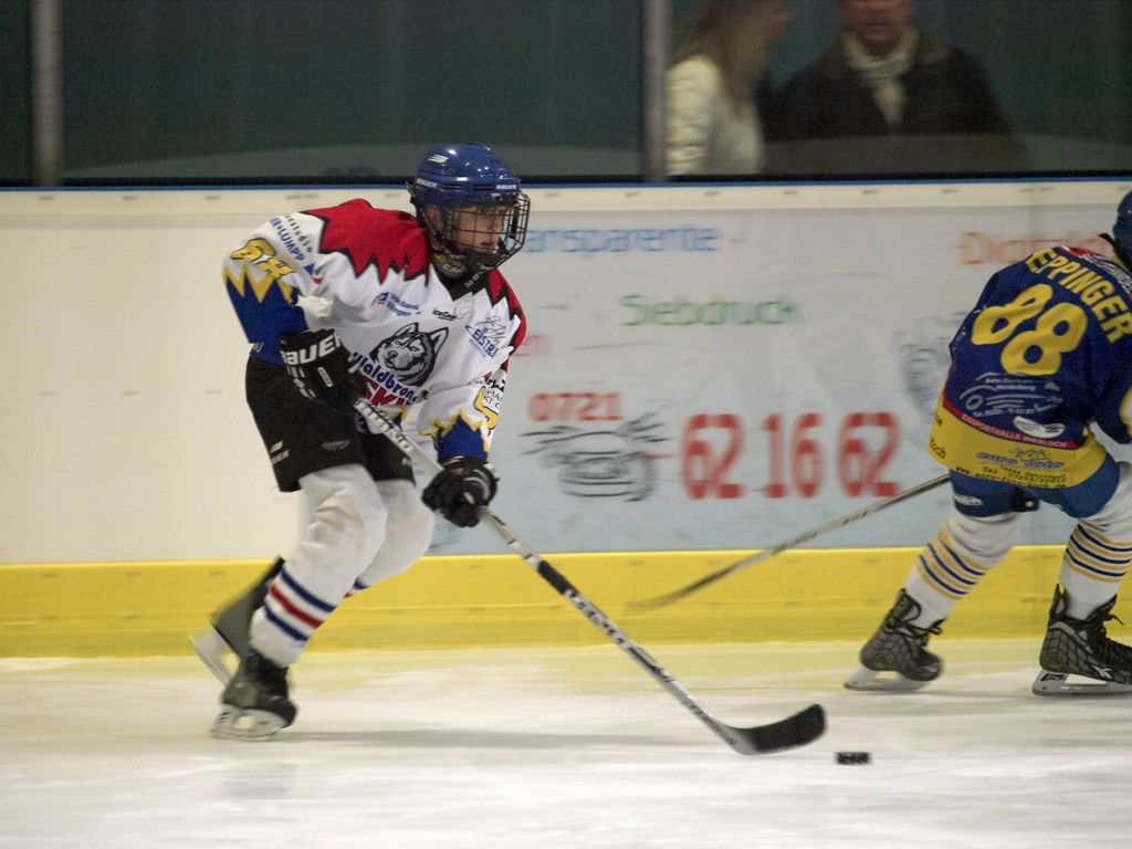 Waldbronn2 2009 01 19 18 09 41