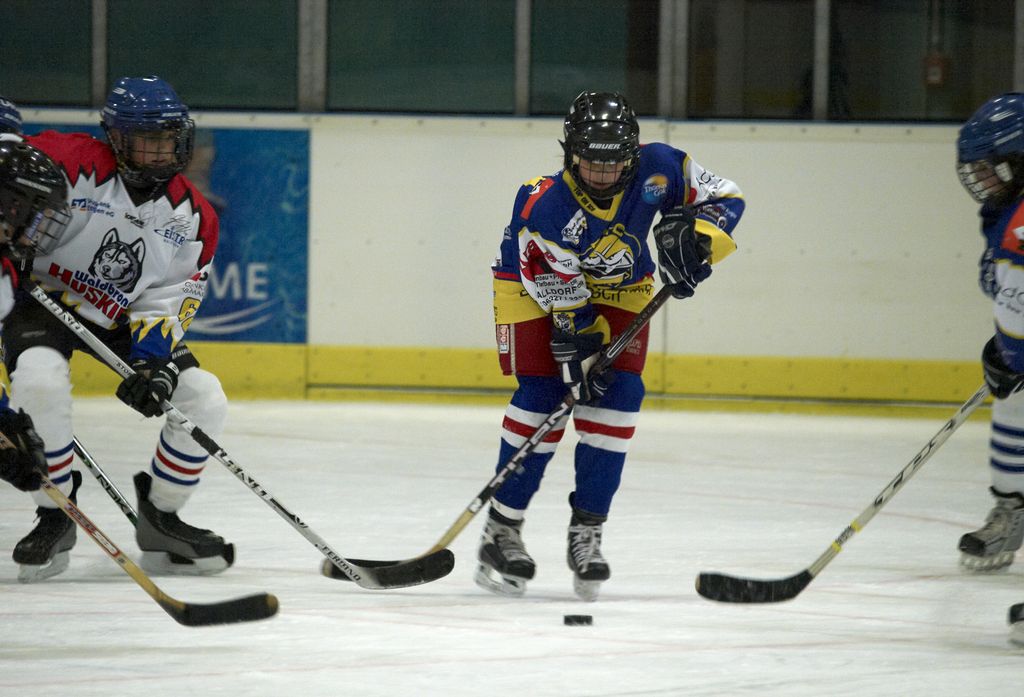 Waldbronn2 2009 01 19 18 10 10