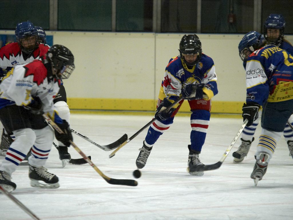 Waldbronn2 2009 01 19 18 10 10 02