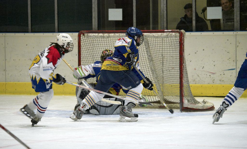 Waldbronn2 2009 01 19 18 16 26 02