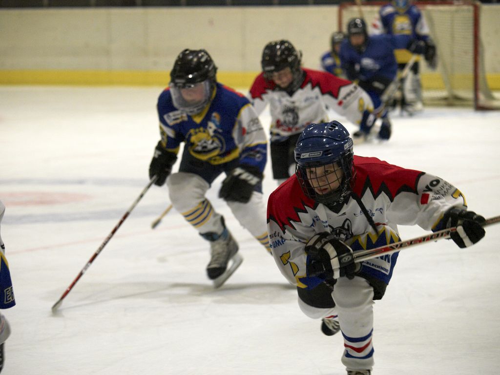 Waldbronn2 2009 01 19 18 28 58