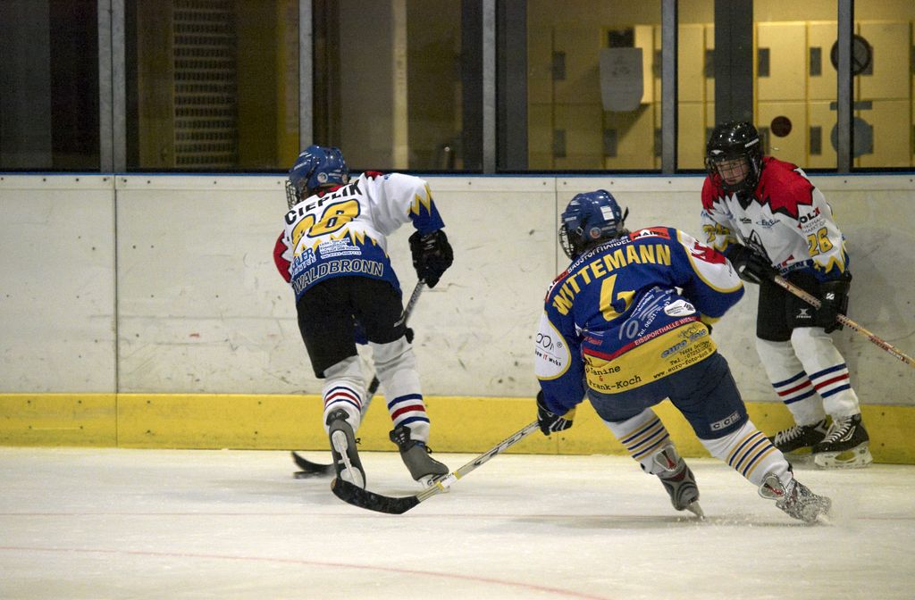 Waldbronn2 2009 01 19 18 36 44