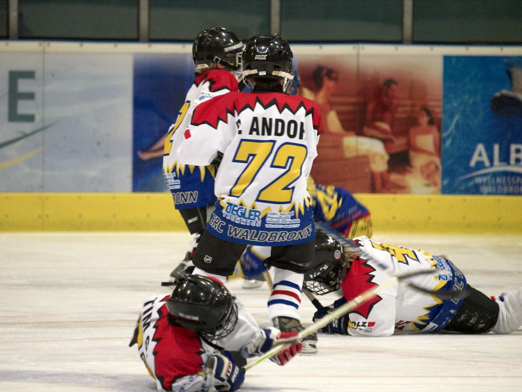 Waldbronn2 2009 01 19 19 58 09