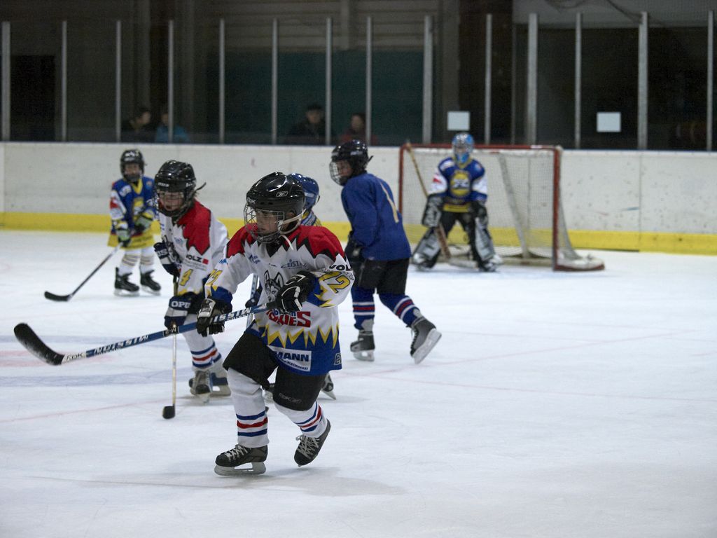 Waldbronn2 2009 01 19 20 16 17