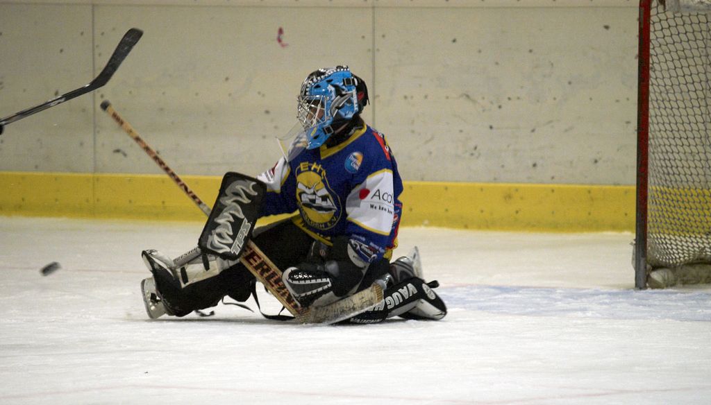 Waldbronn2 2009 01 19 20 23 31