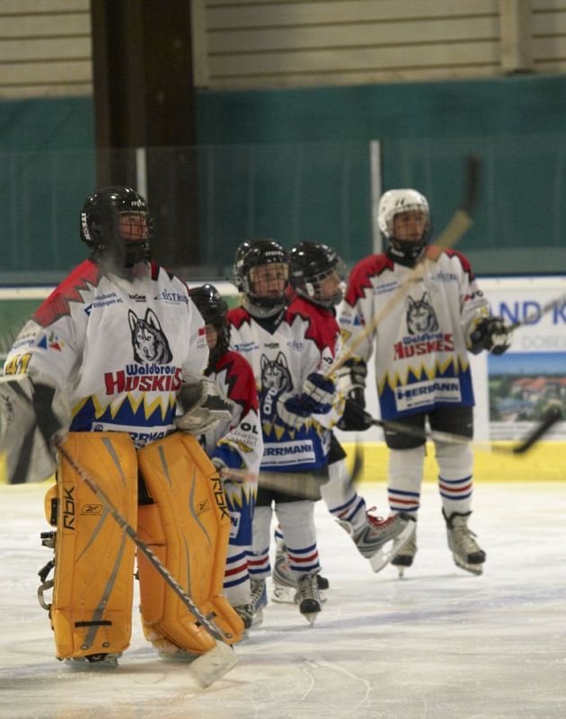 Normal Waldbronn2 2009 01 19 18 03 25