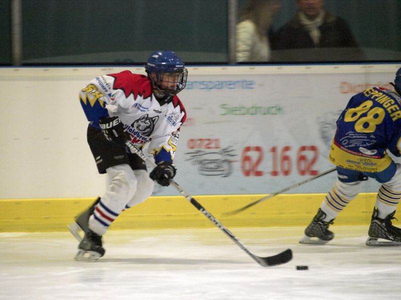 Normal Waldbronn2 2009 01 19 18 09 41