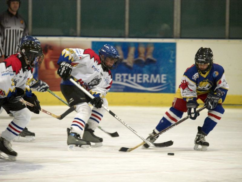 Normal Waldbronn2 2009 01 19 18 10 09