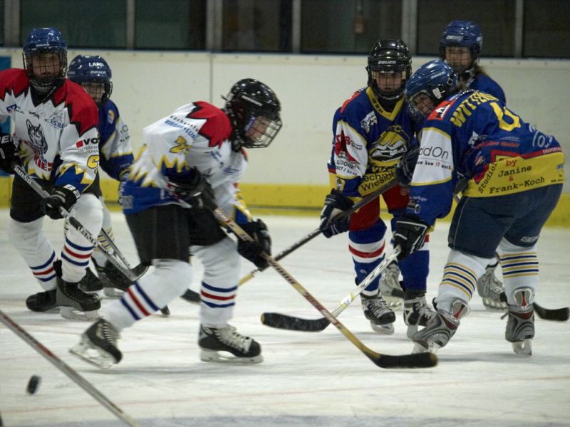 Normal Waldbronn2 2009 01 19 18 10 10 03