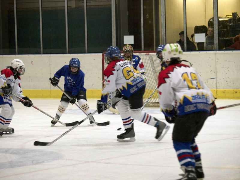 Normal Waldbronn2 2009 01 19 18 16 20