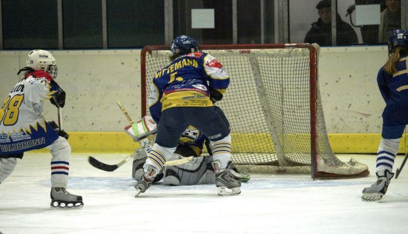 Normal Waldbronn2 2009 01 19 18 16 26