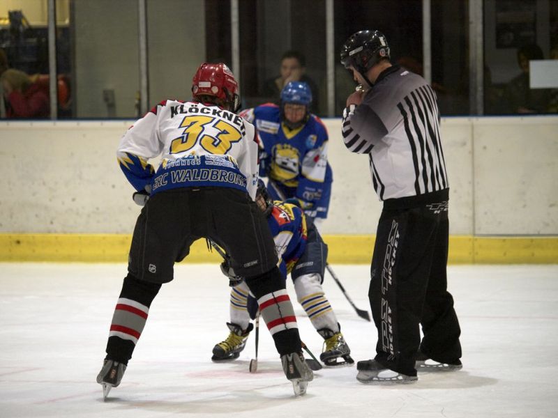 Normal Waldbronn2 2009 01 19 18 39 34