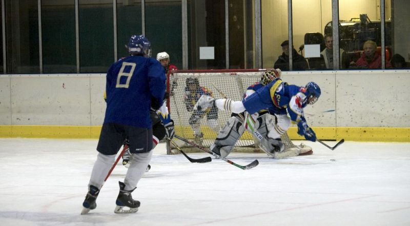 Normal Waldbronn2 2009 01 19 18 41 30