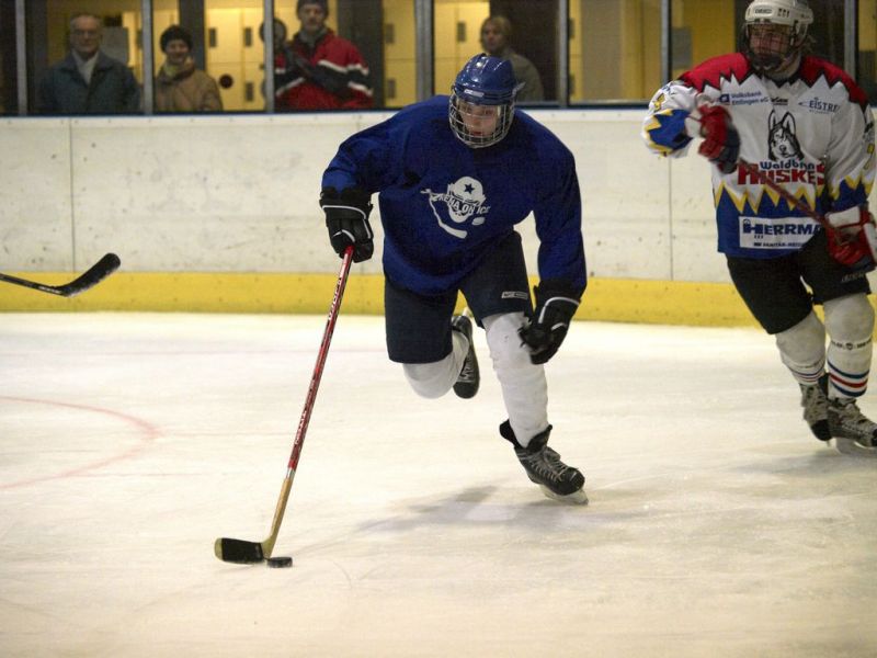 Normal Waldbronn2 2009 01 19 18 42 28