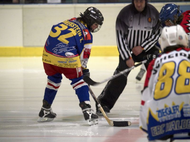 Normal Waldbronn2 2009 01 19 19 05 26