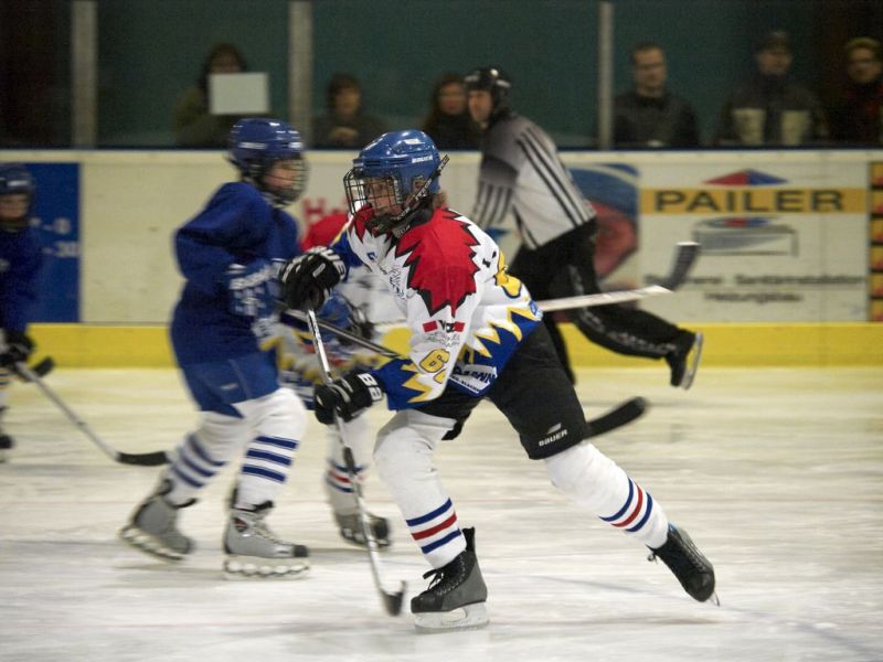 Normal Waldbronn2 2009 01 19 19 20 55