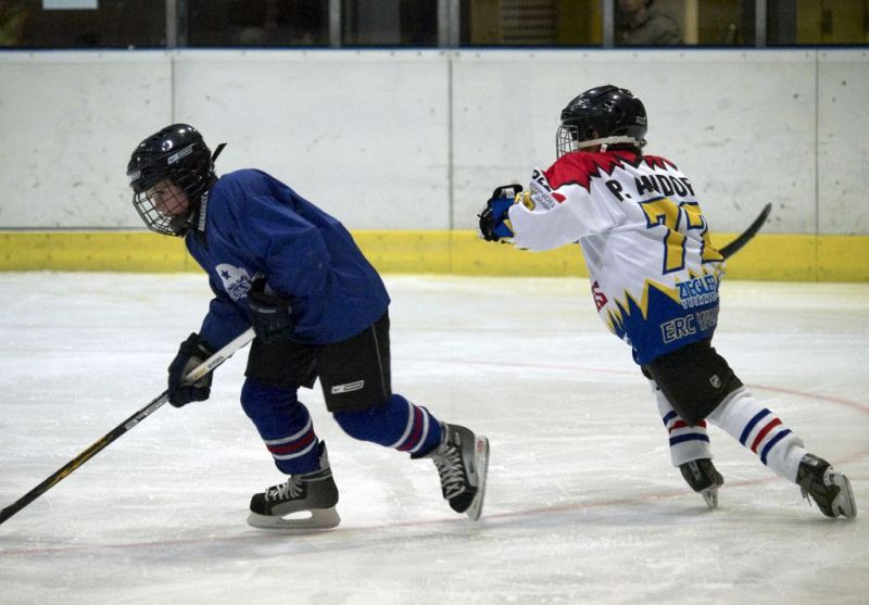 Normal Waldbronn2 2009 01 19 19 50 48