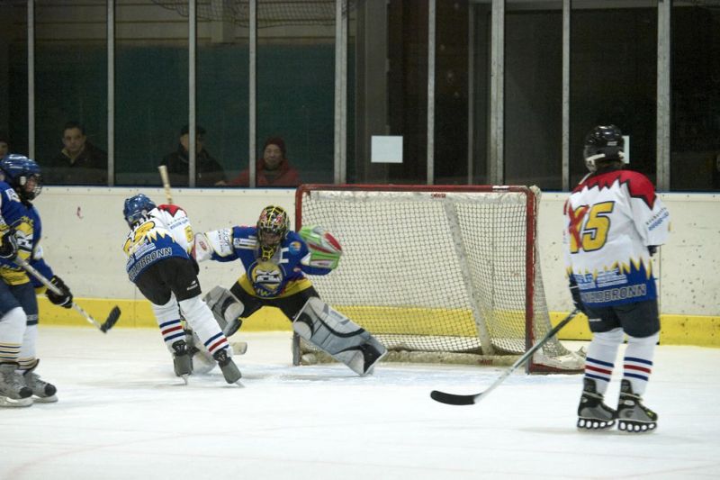 Normal Waldbronn2 2009 01 19 20 21 38 02