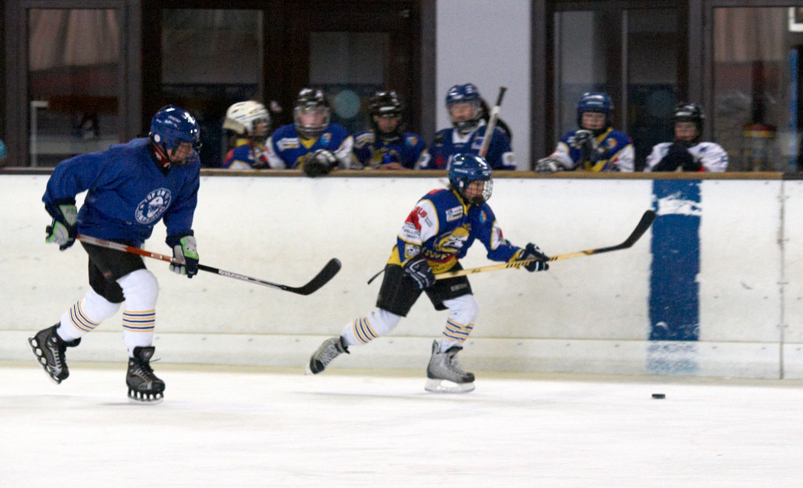Eishockey 2009 03 28 09 45 16