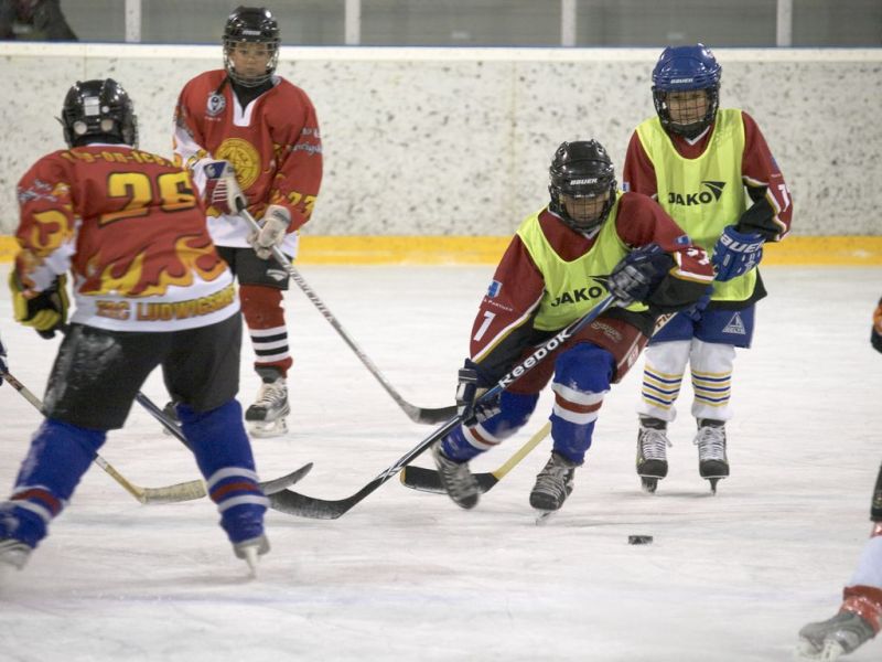 Normal Inhouseliga 262 1