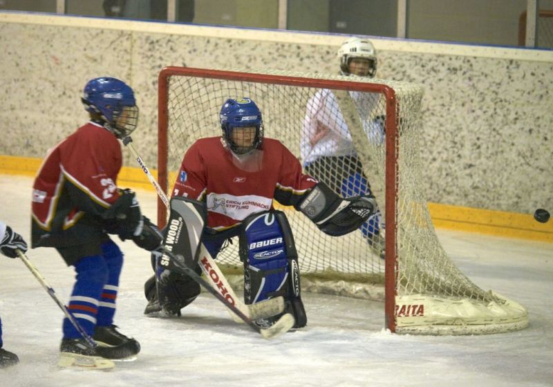 Normal Inhouse 280310 090