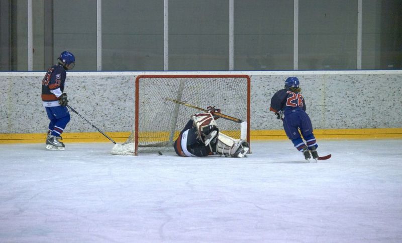 Normal Inhouse 280310 124