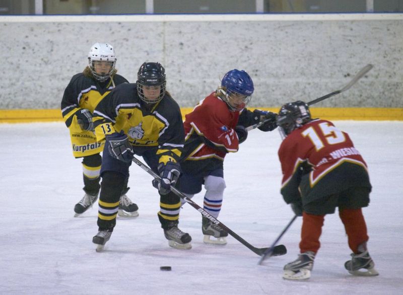 Normal Inhouse 280310 238