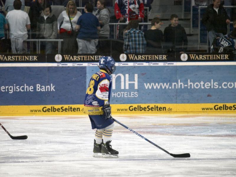 Normal Adler Spalier009