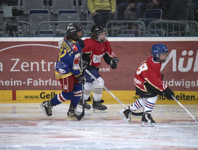 Normal Adler Spalier016