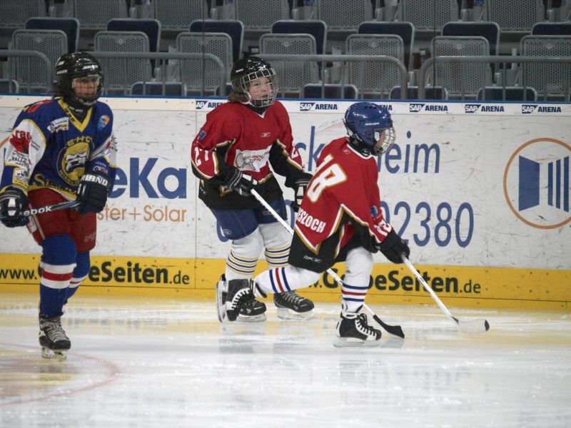 Normal Adler Spalier017