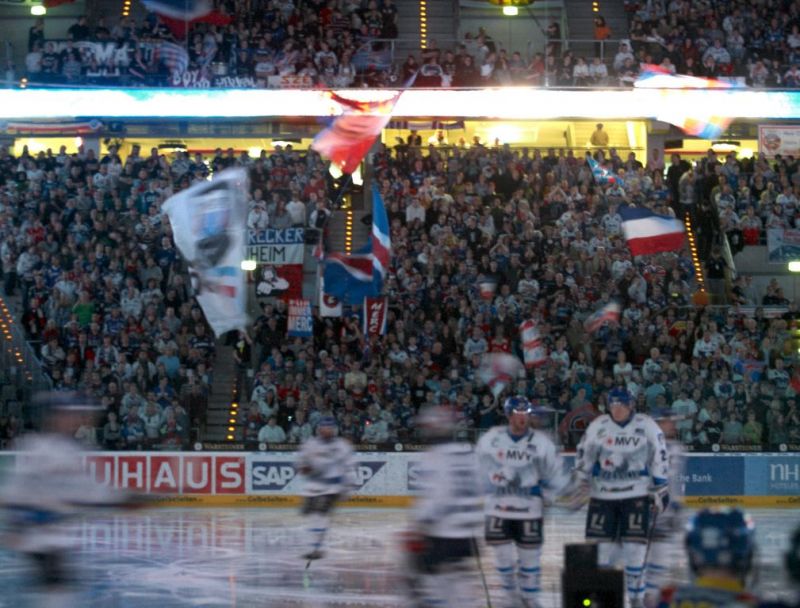 Normal Adler Spalier027