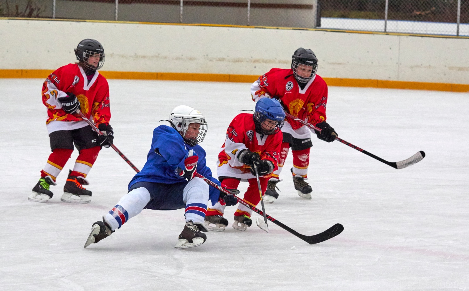 Ludwigshafen P1310884