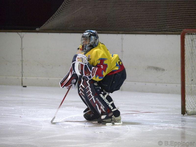 Normal DPL 04 11 08 001