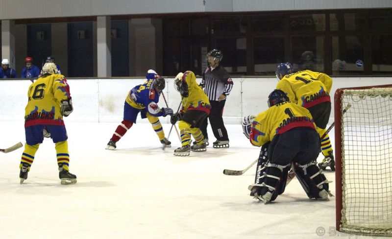 Normal DPL 04 11 08 033