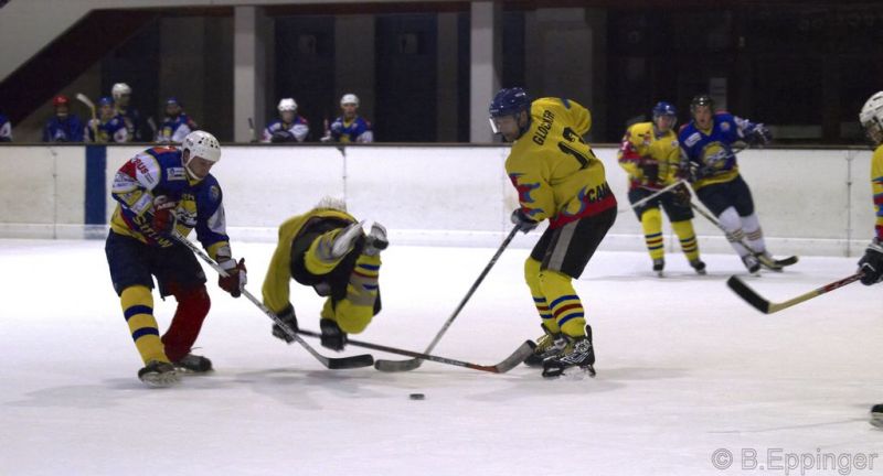 Normal DPL 04 11 08 038