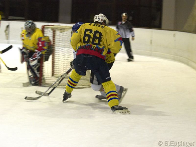 Normal DPL 04 11 08 044